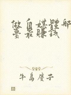 做自媒体哪个平台最赚钱