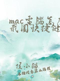 mac电脑怎么截图快捷键