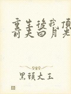 重生后我顶替了前夫白月光新章节