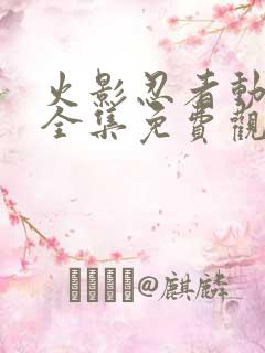 火影忍者动画片全集免费观看