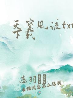 天宝风流txt下载