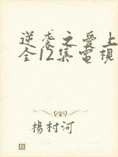 逆袭之爱上情敌全12集电视剧