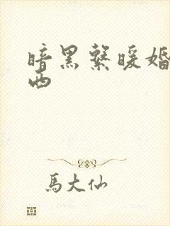 暗黑系暖婚顾南西