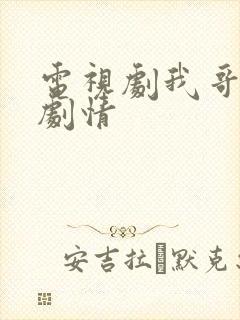 电视剧我哥我嫂剧情