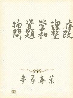 物资管理存在的问题和整改措施