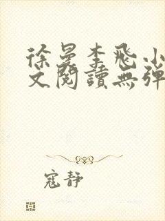 徐曼李飞小说全文阅读无弹窗