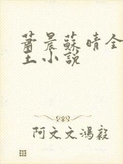 萧晨苏晴全能兵王小说