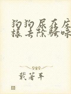 狗狗尿在床垫怎样去除骚味