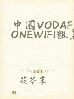 中国VODAFONEWIFI粗暴APP
