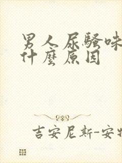 男人尿骚味大是什么原因