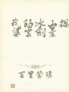 我的冰山总裁老婆云剑晨