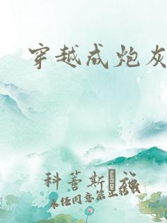 穿越成炮灰反派