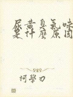 尿黄臭气味很重是什么原因