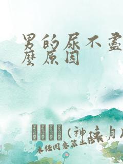 男的尿不尽是什么原因