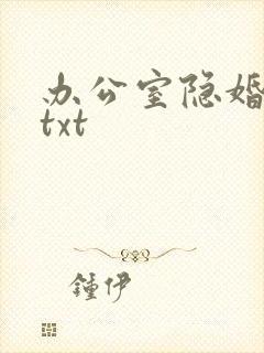 办公室隐婚轻黯txt