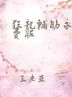 狂龙辅助永久免费版