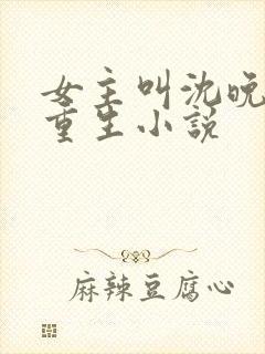 女主叫沈晚晚的重生小说