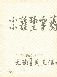 小说孙雨菲主角小说免费阅读全文