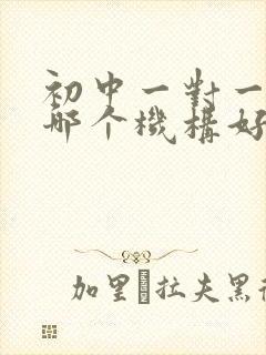 初中一对一补课哪个机构好