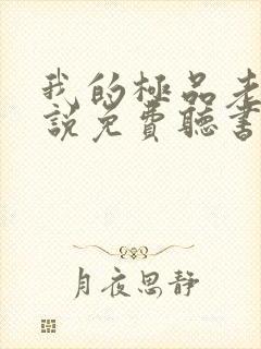 我的极品老婆小说免费听书