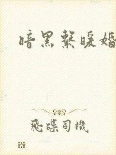 暗黑系暖婚网盘