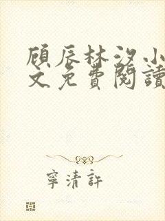 顾辰林汐小说全文免费阅读