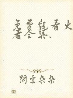 免费观看火影忍者全集.