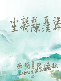 小说我真没想重生啊陈汉升