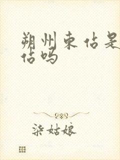 朔州东站是高铁站吗