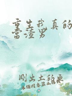 重生我真的没想当渣男