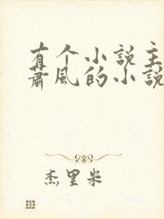 有个小说主角叫萧风的小说