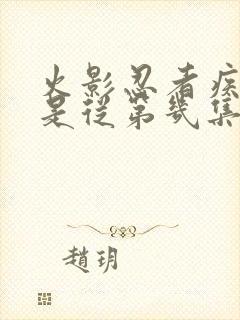 火影忍者疾风传是从第几集开始的