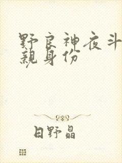 野良神夜斗的父亲身份