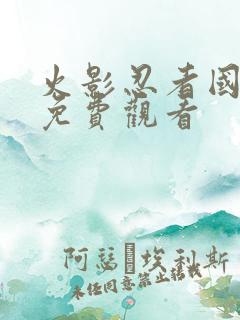 火影忍者国语版免费观看