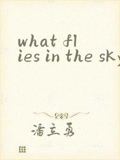 what flies in the sky绘本翻译