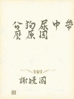 公狗尿中带血什么原因