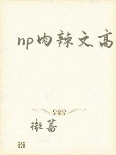 np肉辣文高h