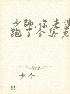 少帅,你老婆又跑了全集免费观看