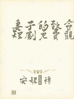 妻子的致命谎言短剧免费观看