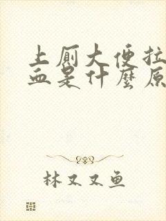 上厕大便拉鲜出血是什么原因女性