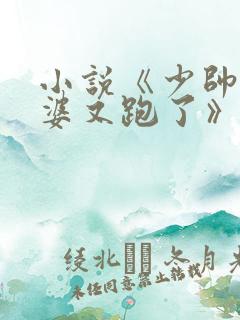 小说《少帅你老婆又跑了》