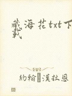 藏海花txt下载