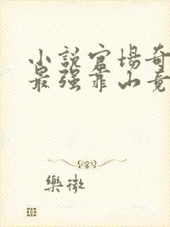 小说官场奇才:最强靠山竟是我自己李澜在