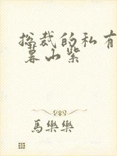 总裁的私有宝贝 暮山紫