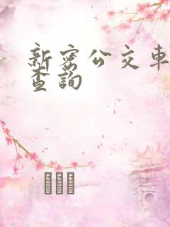 新密公交车路线查询