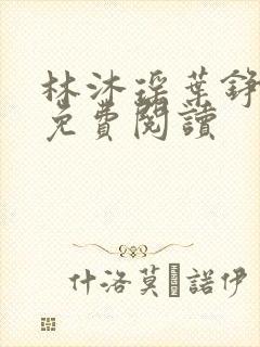 林沐瑶叶铮小说免费阅读