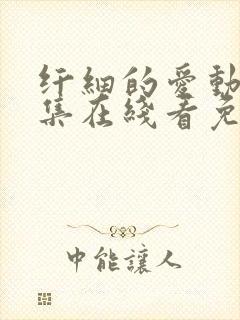 纤细的爱动漫全集在线看免费观看