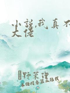 小说,我真不是大佬