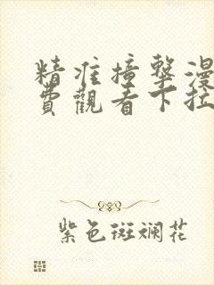 精准撞击漫画免费观看下拉式