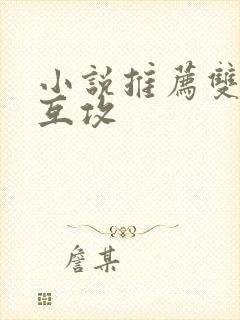 小说推荐双男主互攻